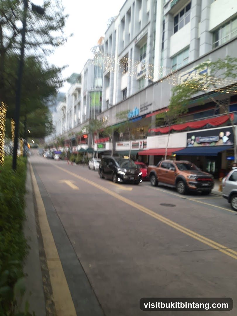 Street View with Shops and Cars