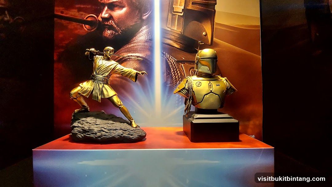 Star Wars Collectibles Display