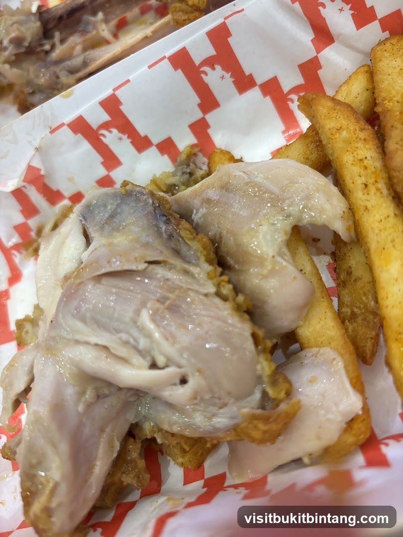 Fried Chicken and Fries