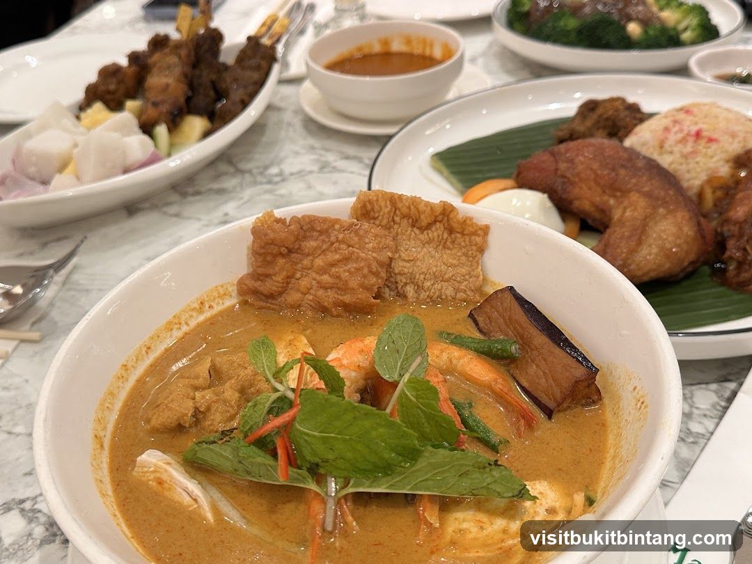Curry Laksa and Satay