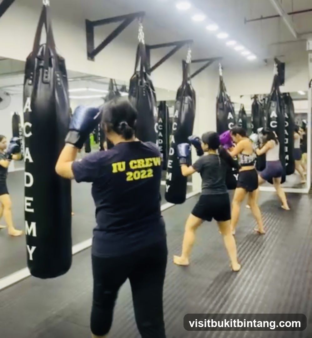 Never Stop MMA