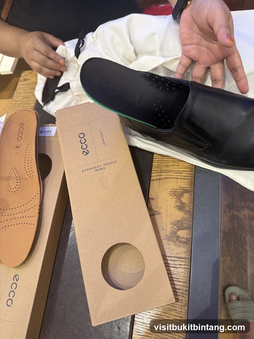 Ecco Insoles and Shoe