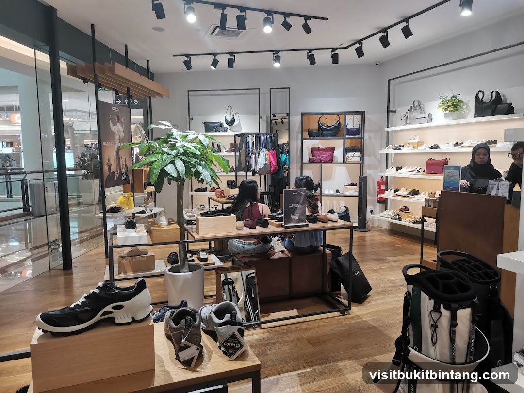 Shoe Store Interior
