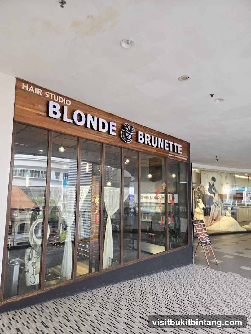 Blonde Brunette