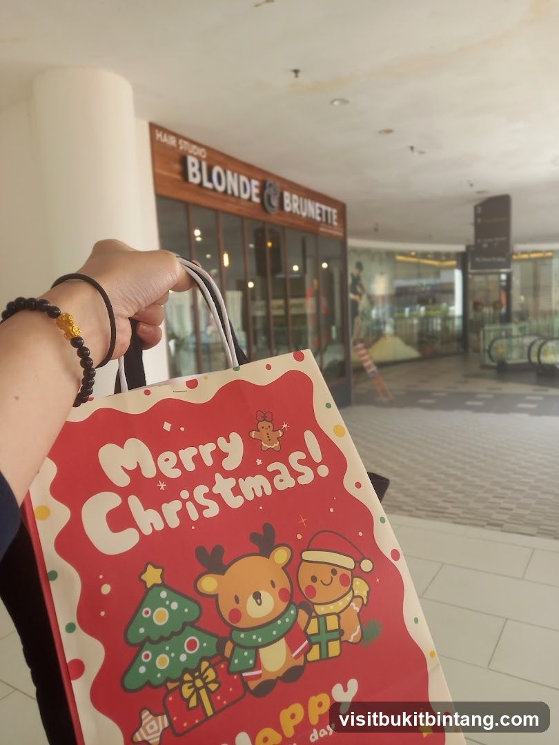 Christmas Shopping Bag