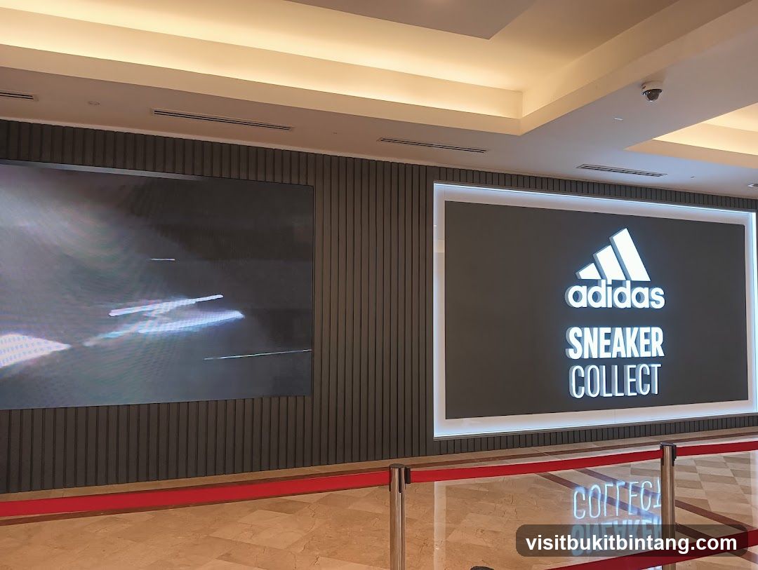 Adidas Sneaker Collect Display