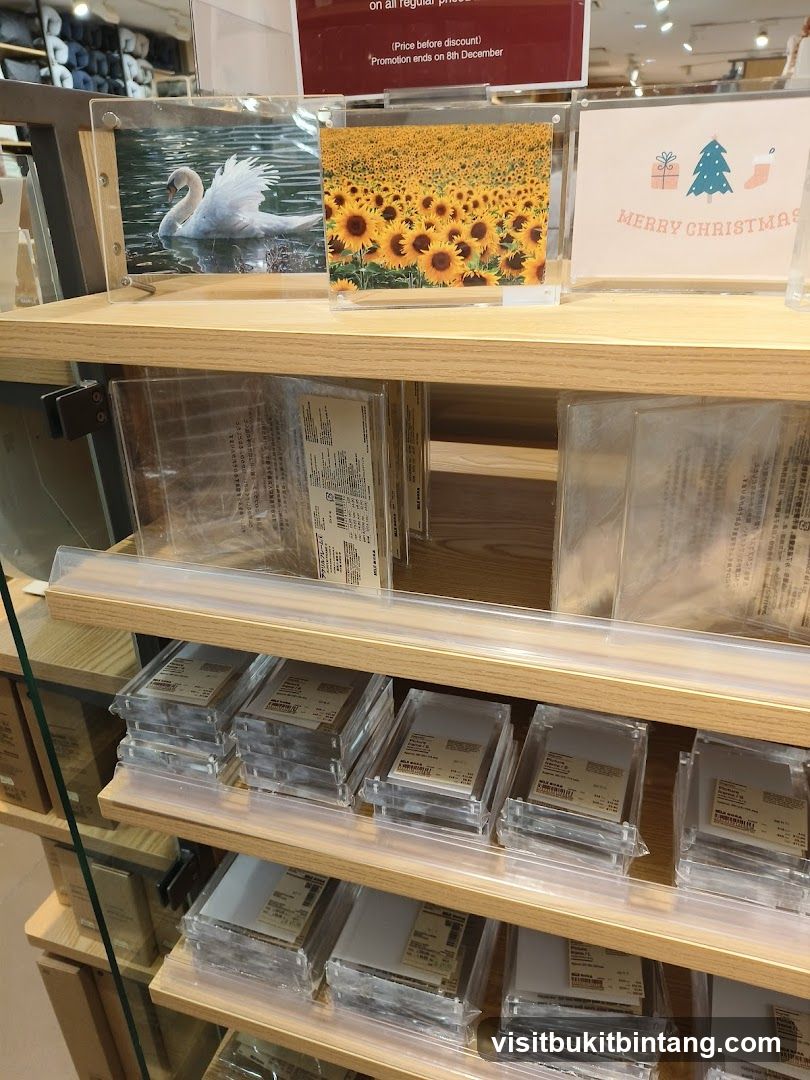 Store Display with Artwork and Christmas Card