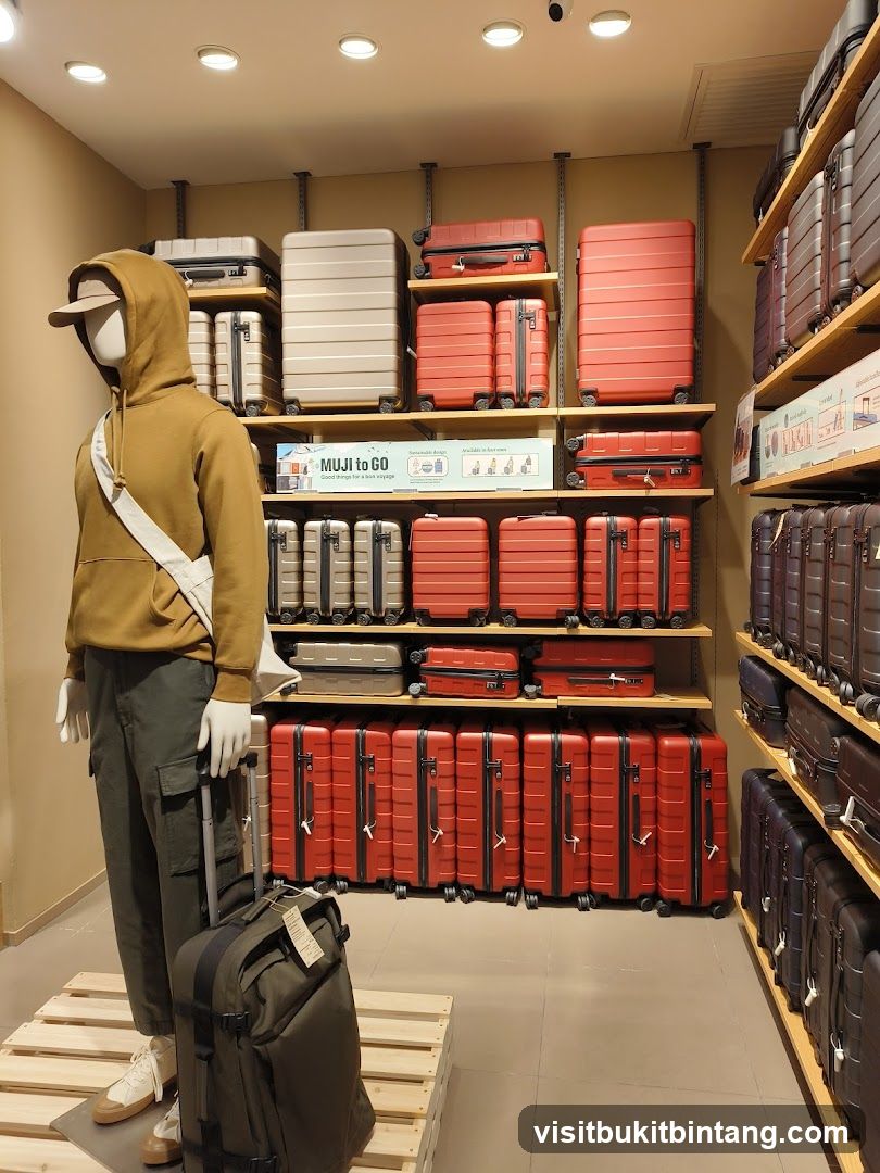 Luggage Display
