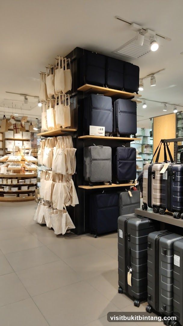Luggage and Tote Bags Display