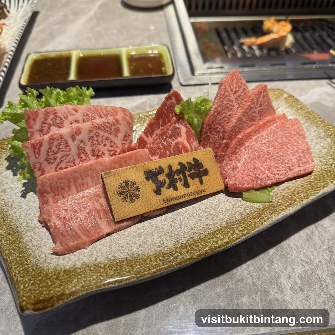 Assortment of Raw Beef Slices