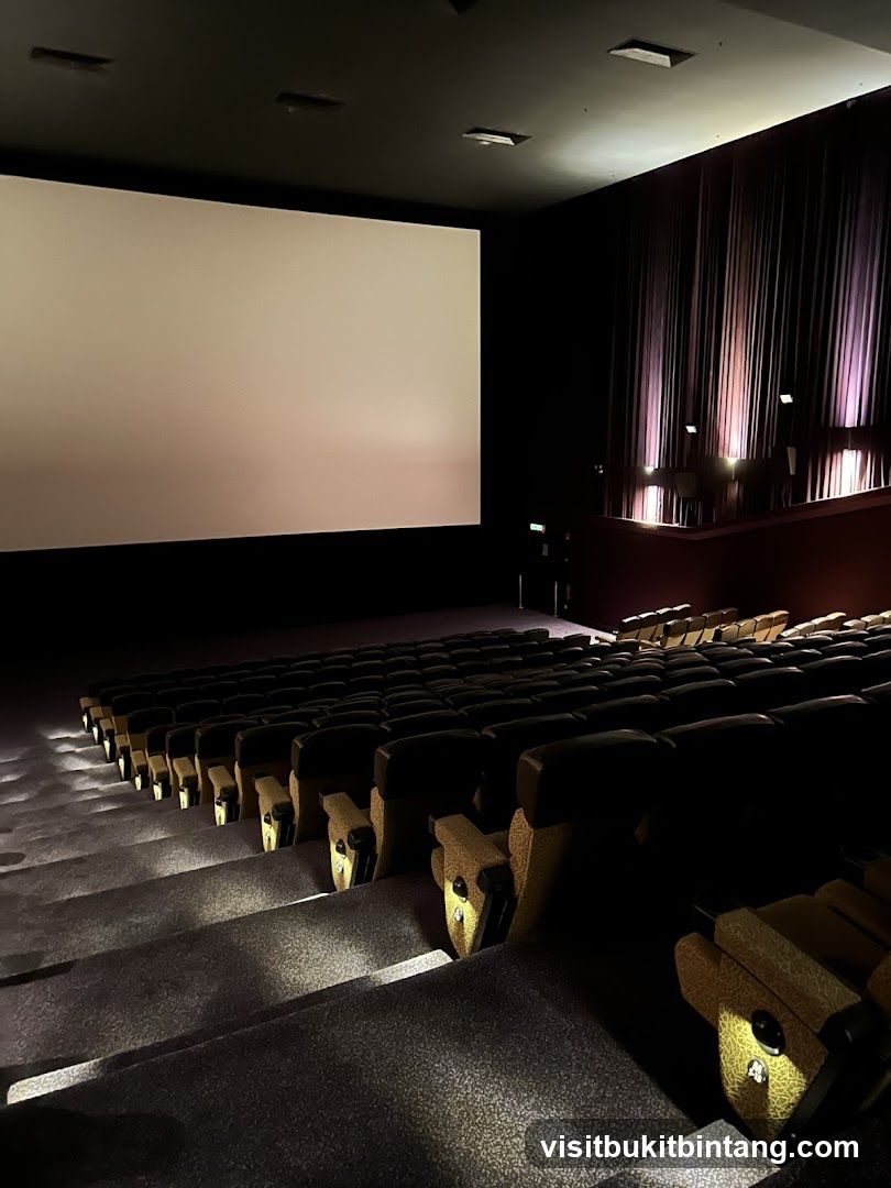 Empty Cinema Auditorium