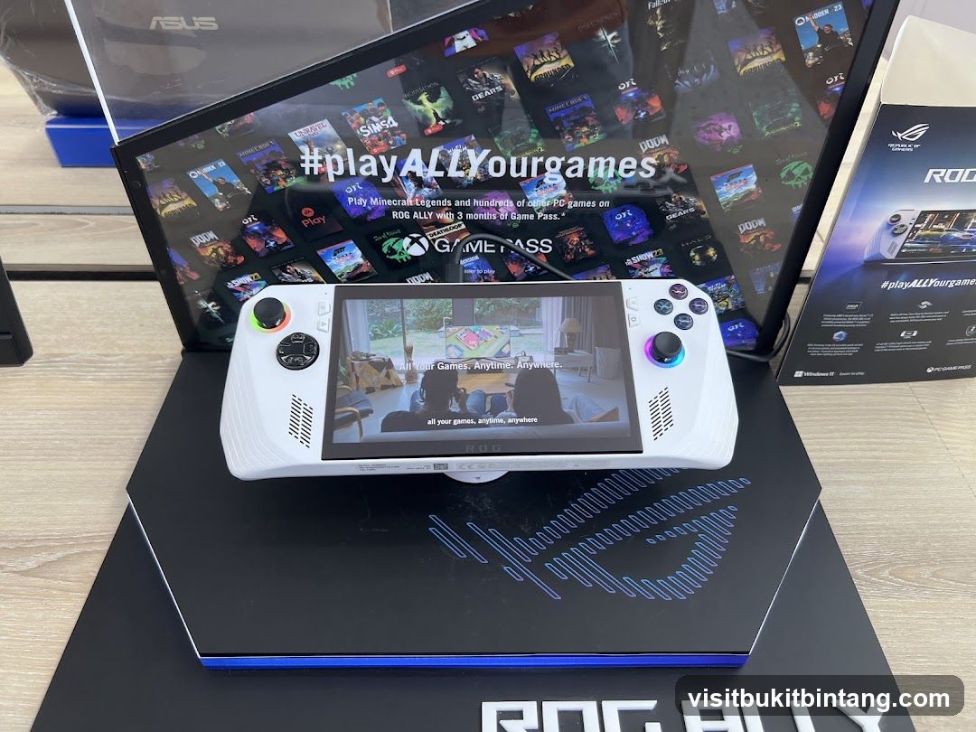ROG Ally Gaming Device Display