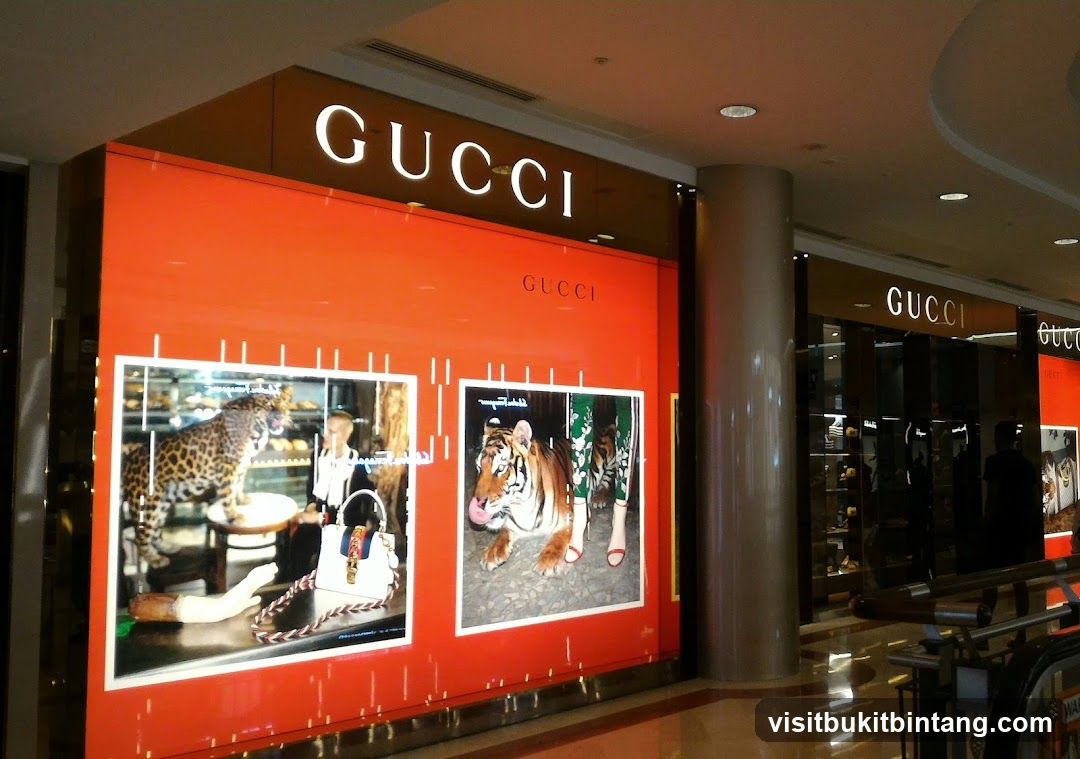 Gucci Storefront Display