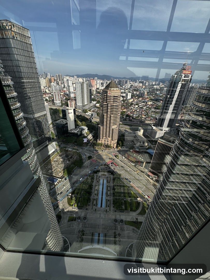 Cityscape View from Above