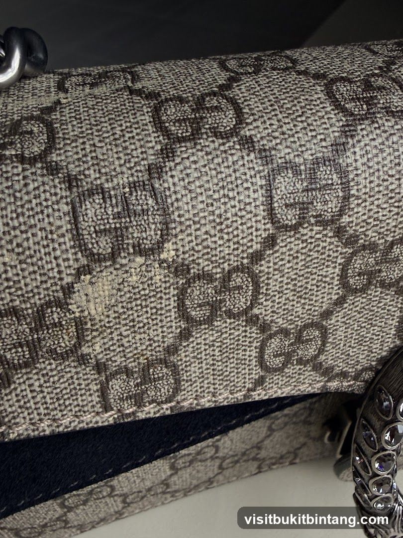 Close-up of Gucci bag detail