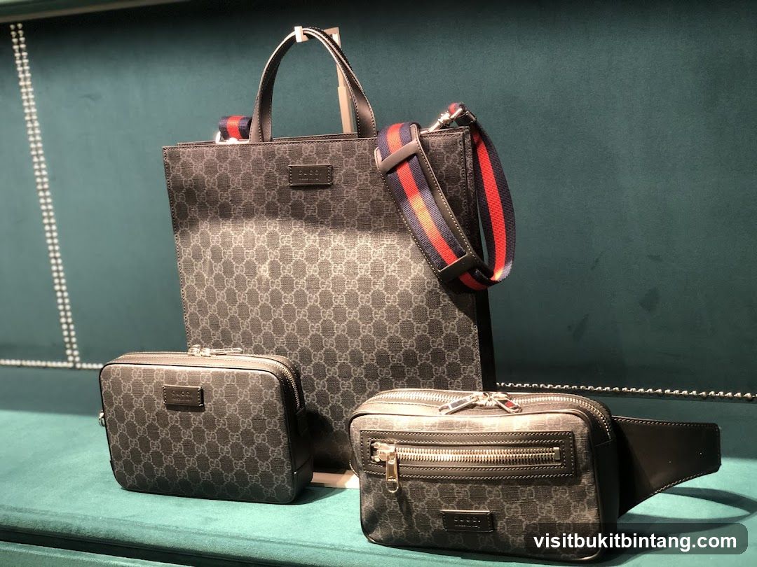 Gucci Bags