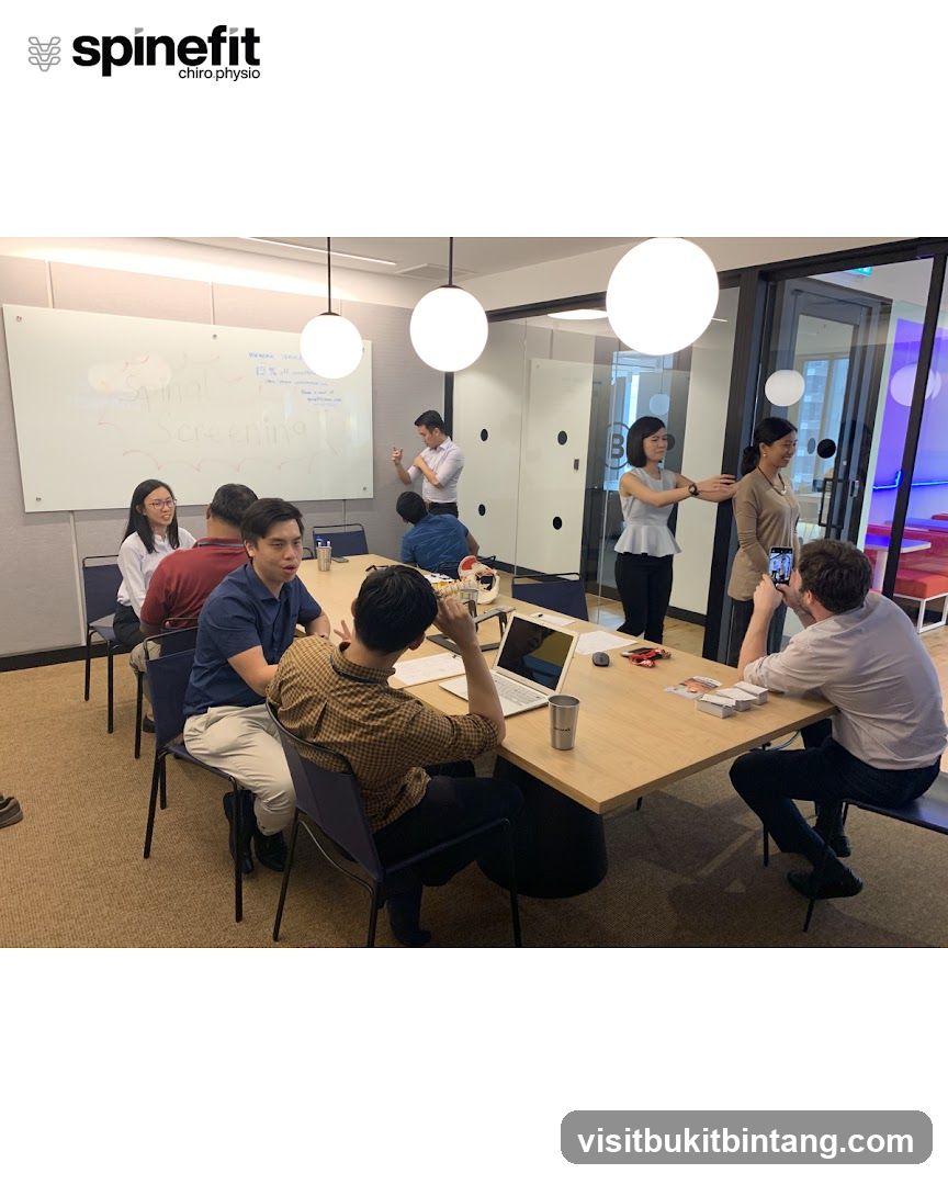 Spinefit Chiro Physio Meeting