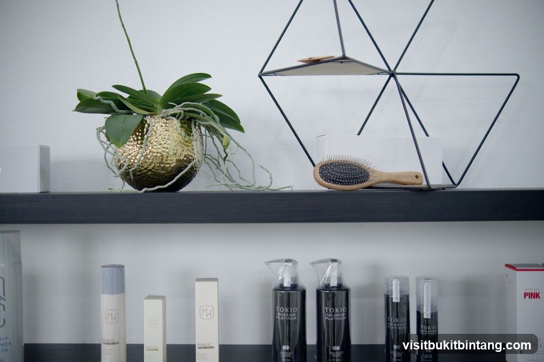 LALA HAIR PUBLIKA