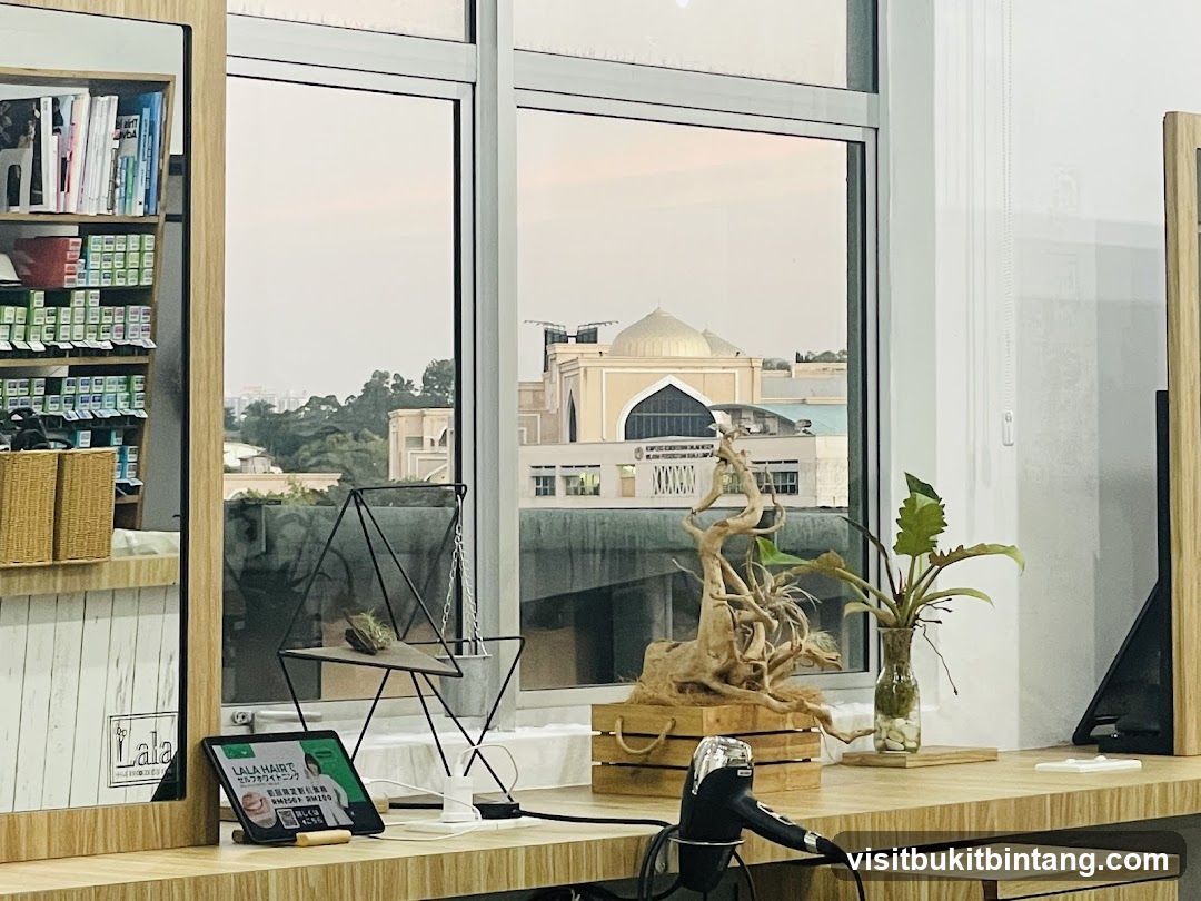 Salon Interior with City View