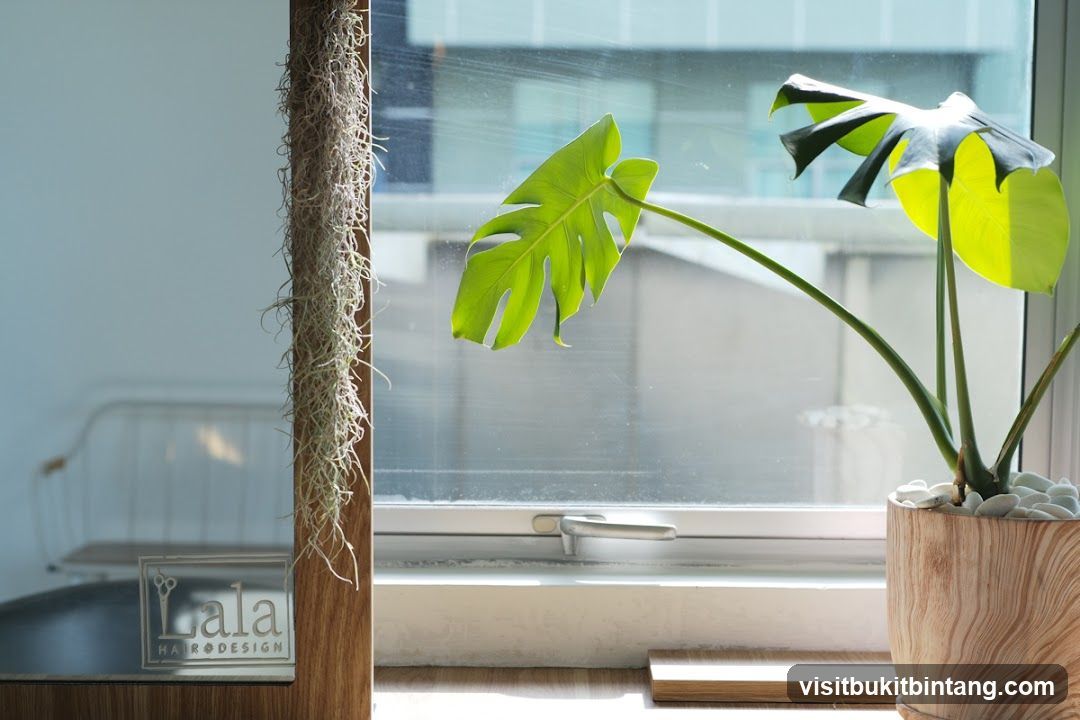 Interior view of a salon with plants and logo