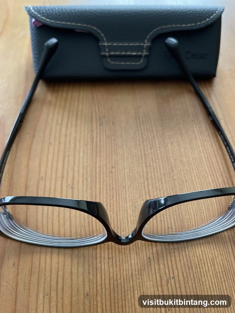 Eyeglasses and Case