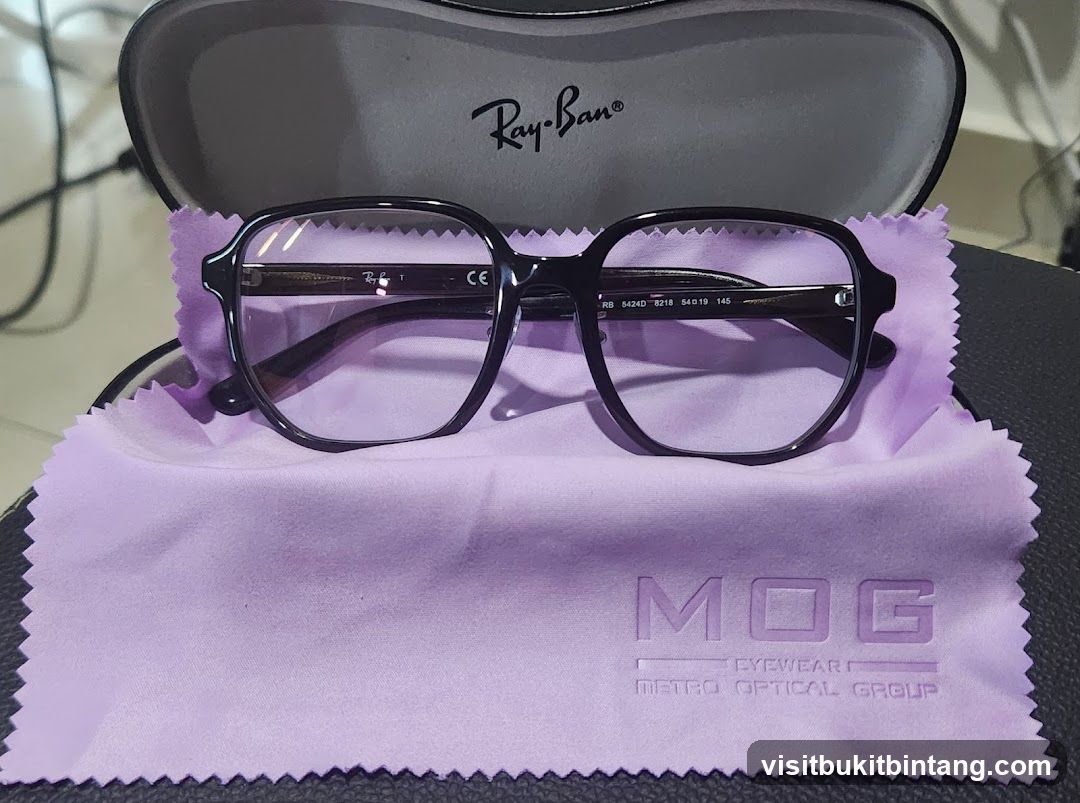 Ray-Ban Eyeglasses with MOG Cleaning Cloth