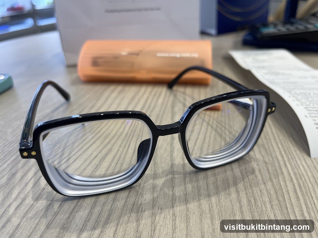 Eyeglasses and Case
