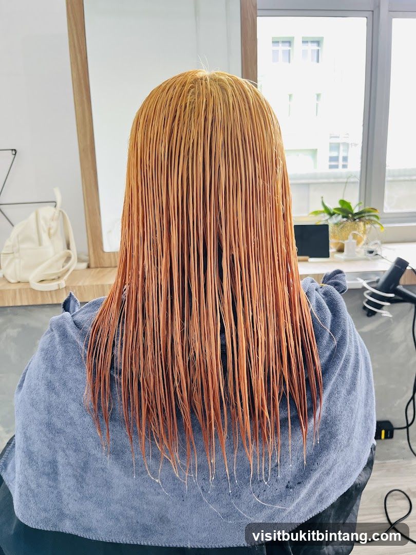 Hair Dye Process