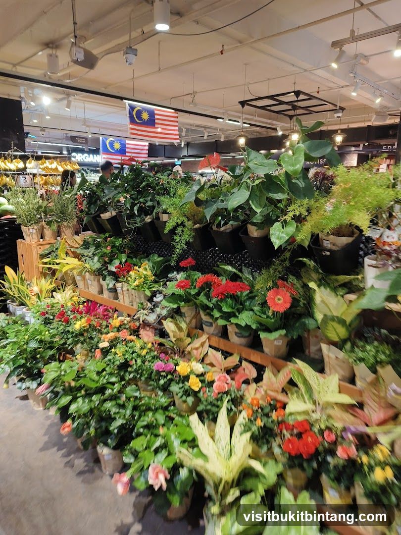 Indoor Plant Display