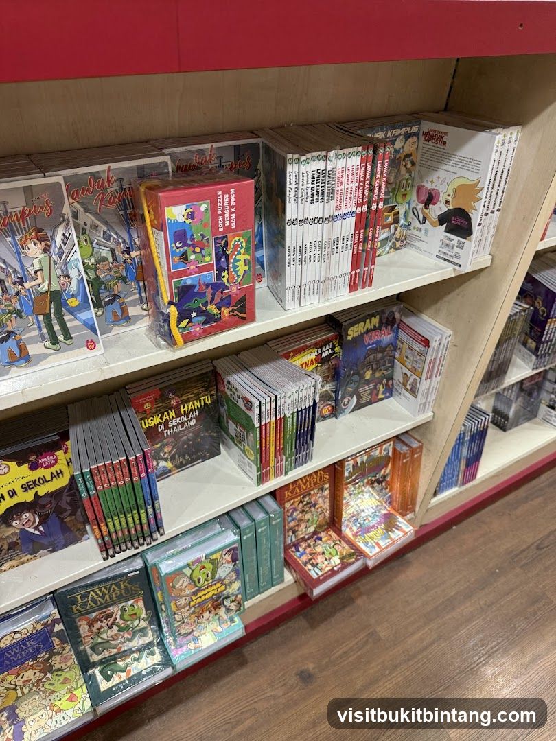 Books and Puzzles on Shelves