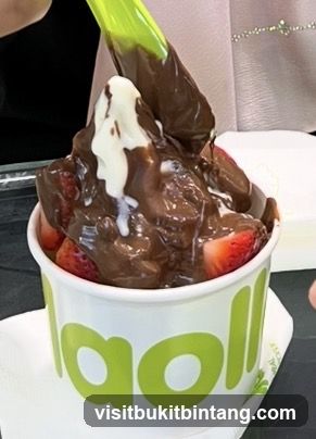 Frozen Yogurt with Strawberries and Chocolate