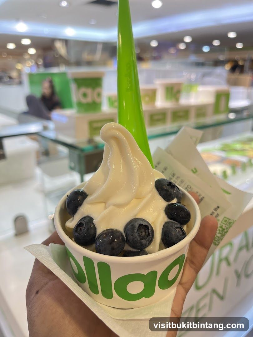 Frozen Yogurt with Blueberries