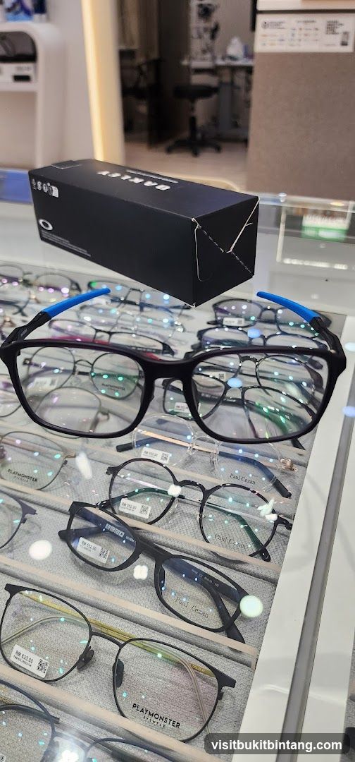 Eyeglasses Display