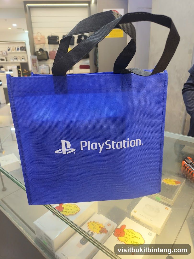 PlayStation Bag