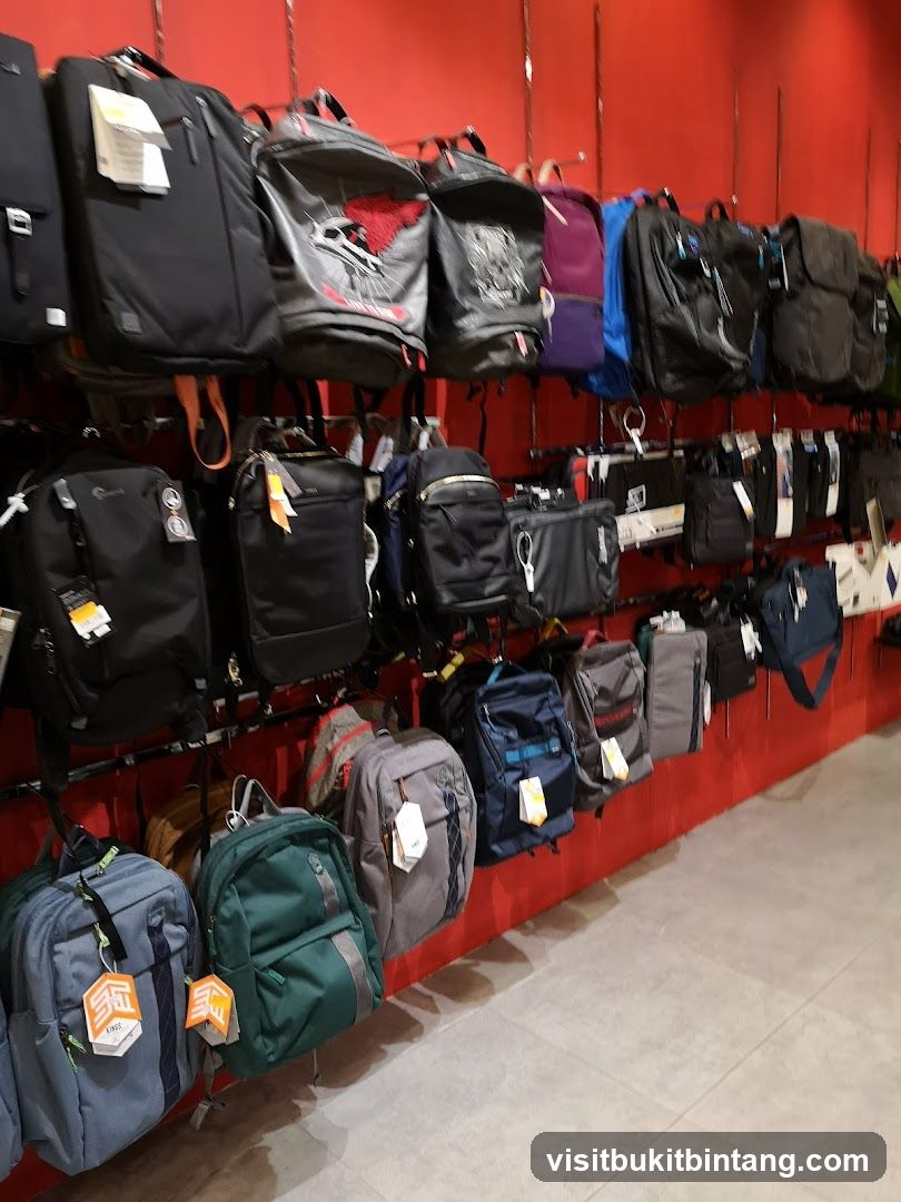 Backpacks on Display