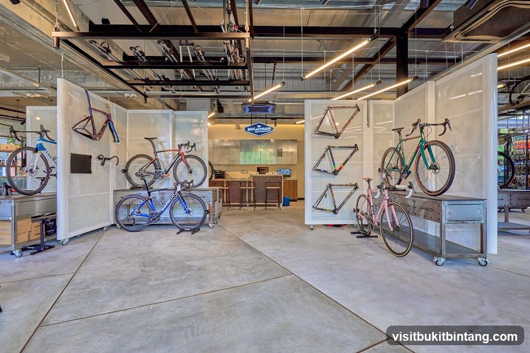 Bicycle Shop Interior