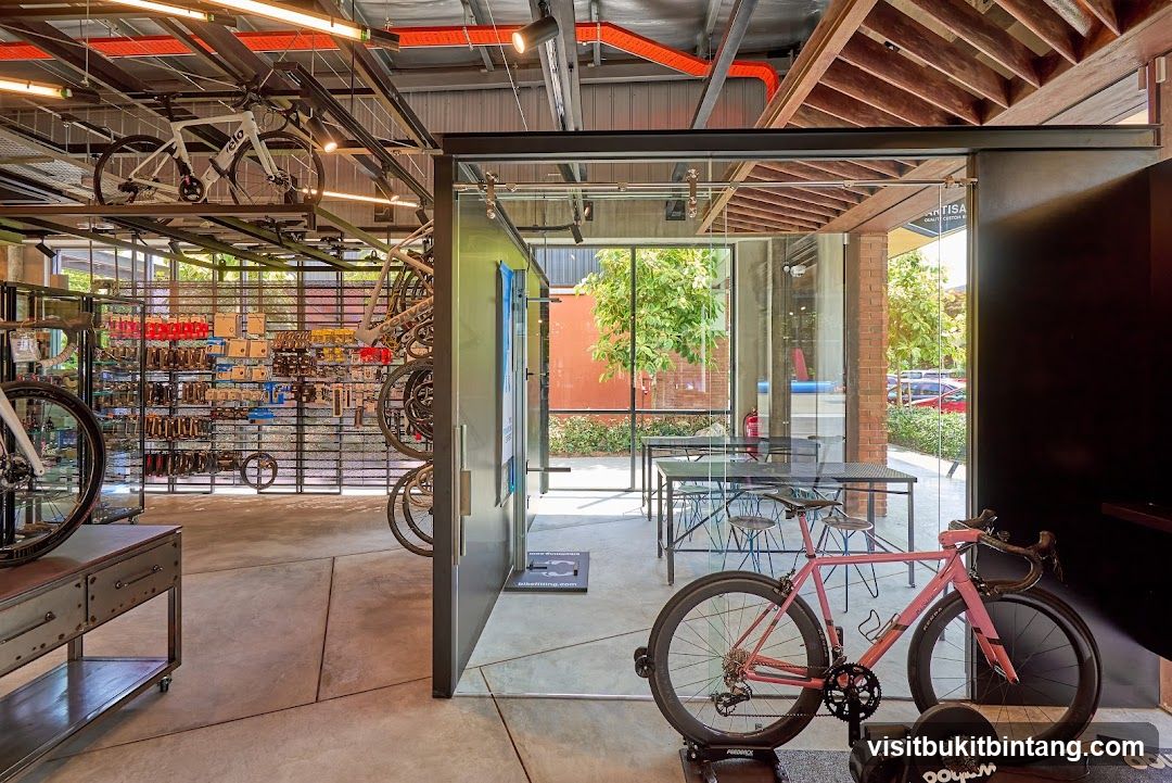 Modern Bicycle Shop Interior