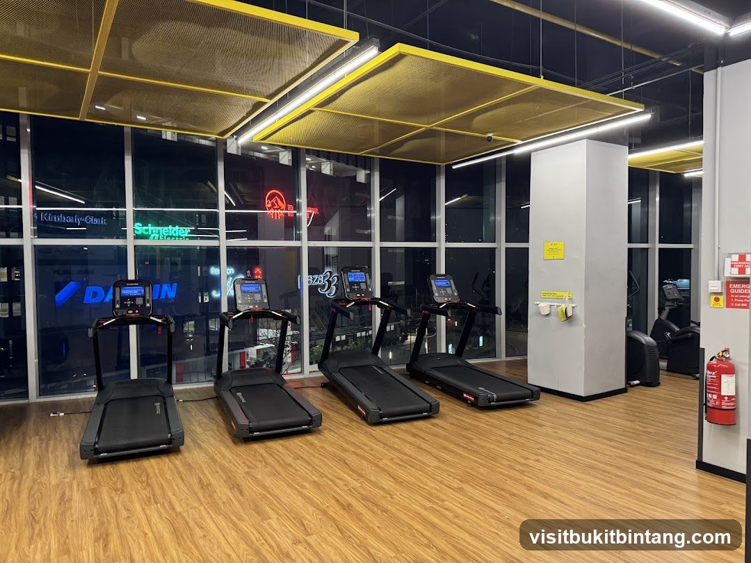Gym Treadmills