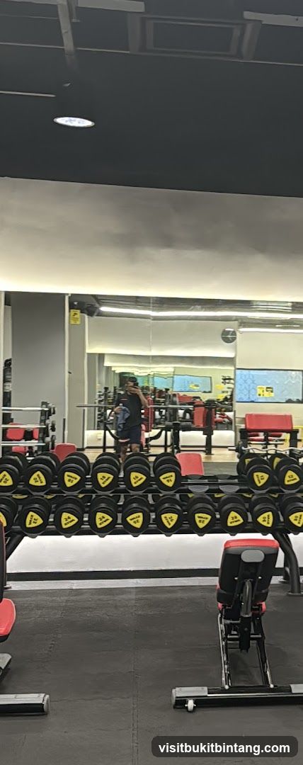 Gym Interior with Dumbbells