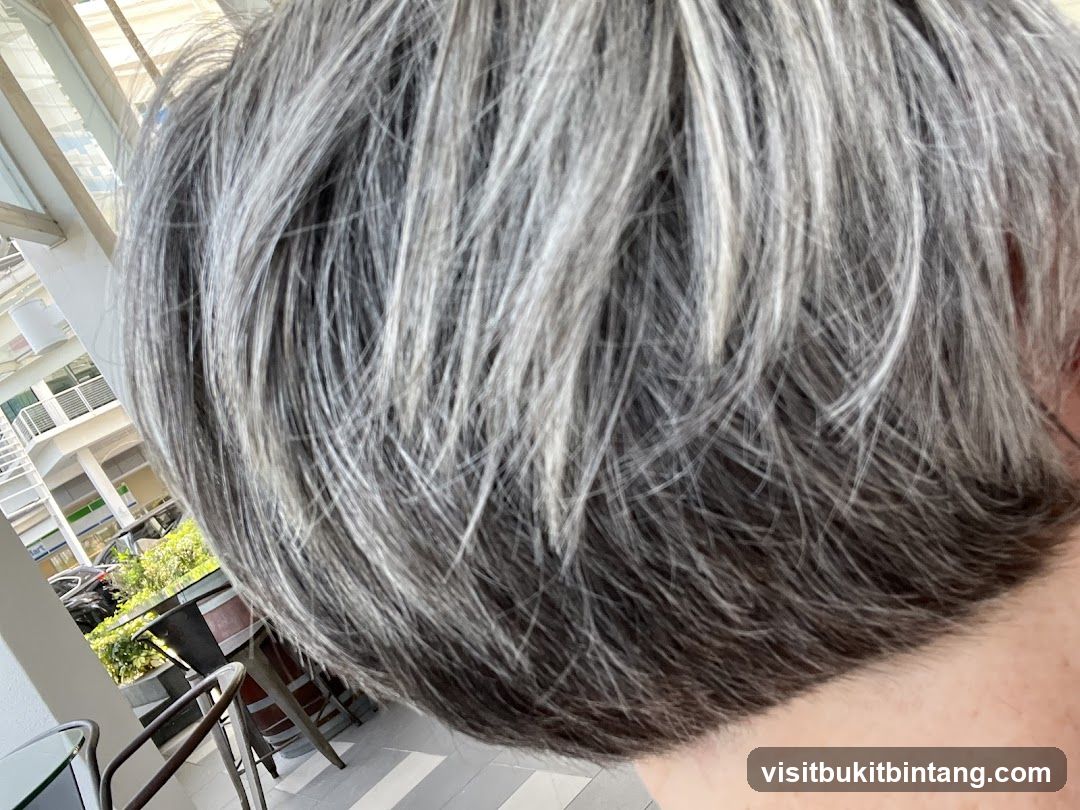 Close-up of Gray Hair