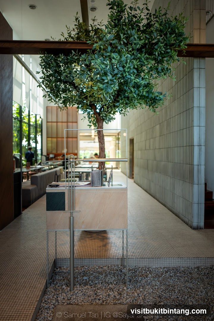 Modern Interior with Tree Feature