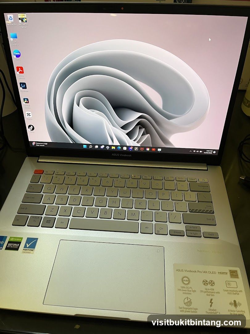 ASUS Vivobook Pro 14X OLED Laptop