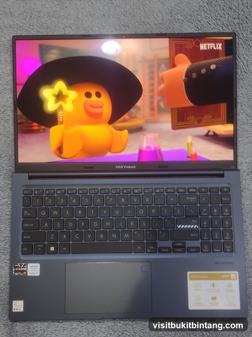 Laptop displaying Netflix cartoon