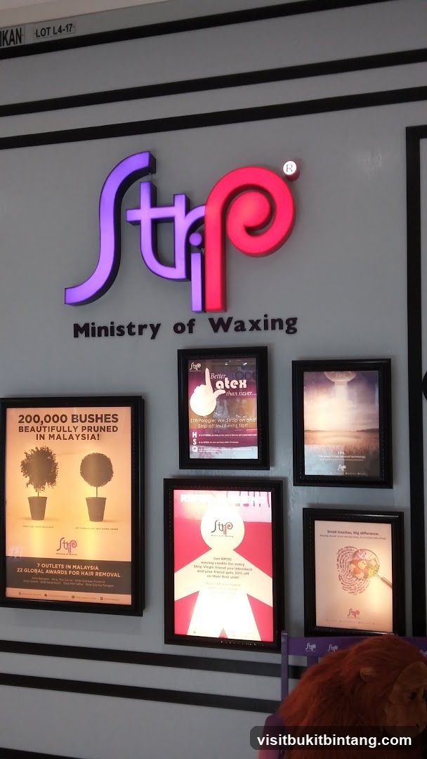 Strip Gurney Paragon