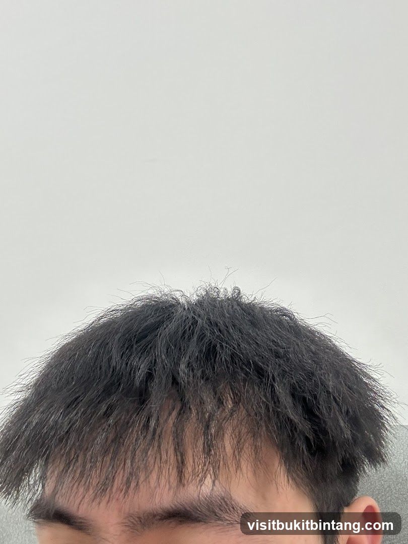 Messy Black Hair