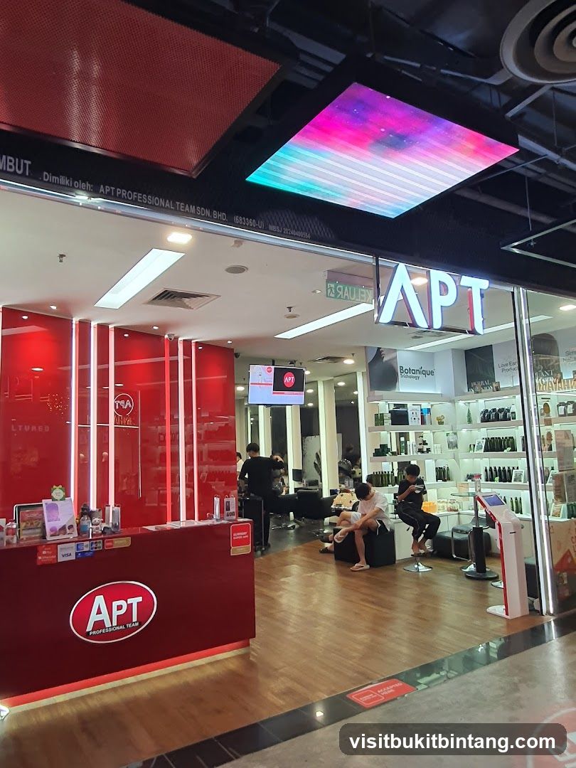 APT Professional Team