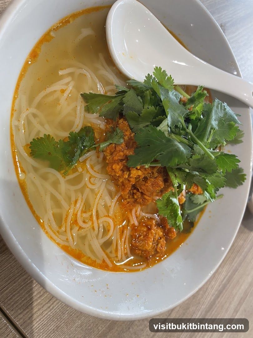 Noodle Soup with Cilantro