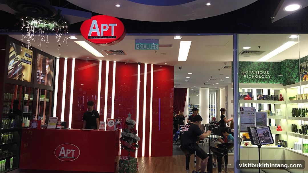 APT Professional Team