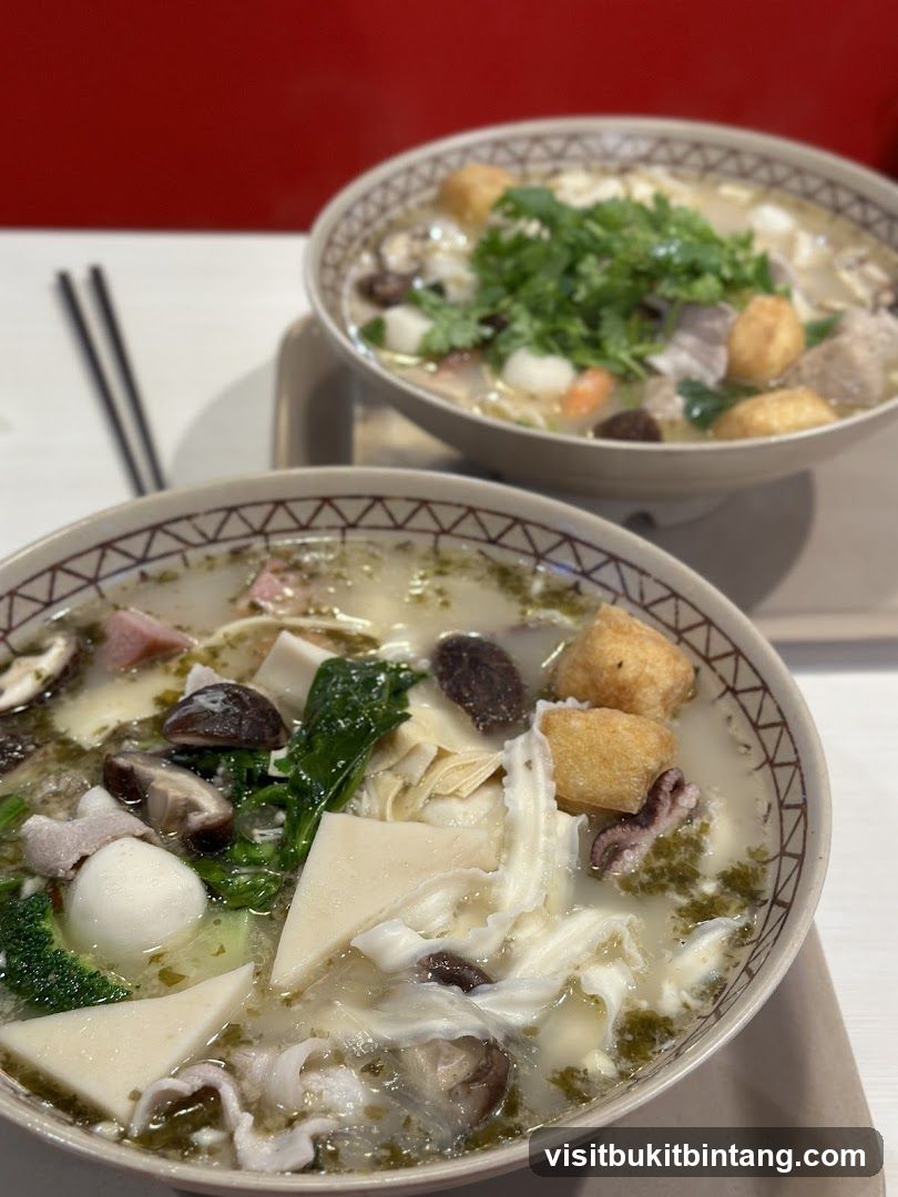 Two Bowls of Noodle Soup