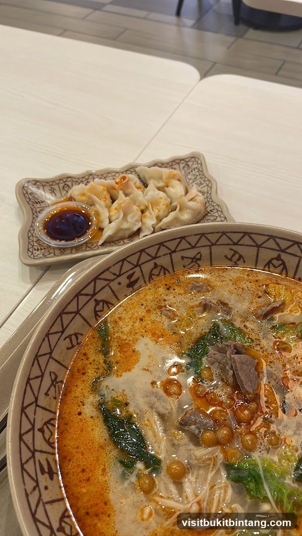 Dumplings and Noodle Soup